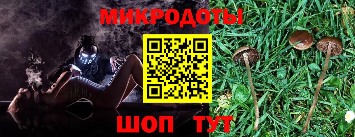 Новотроицк  Псилоцибиновые грибы GOLDEN TEACHER  закладки  Вход с VPN 